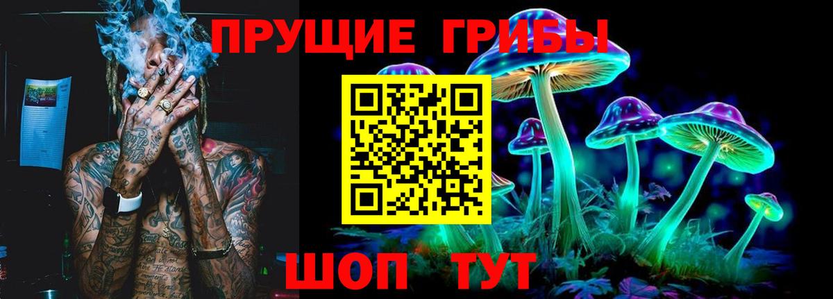 Псилоцибиновые грибы MAGIC MUSHROOMS  Вход с VPN  Выкса 